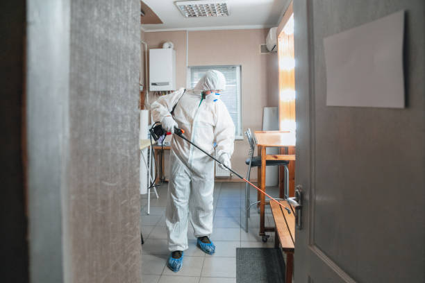 Waynesboro, TN Mold Inspection, Removal & Remediation Company