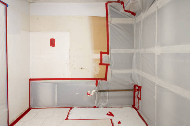 Best Commercial Mold Inspection  in Waynesboro, TN